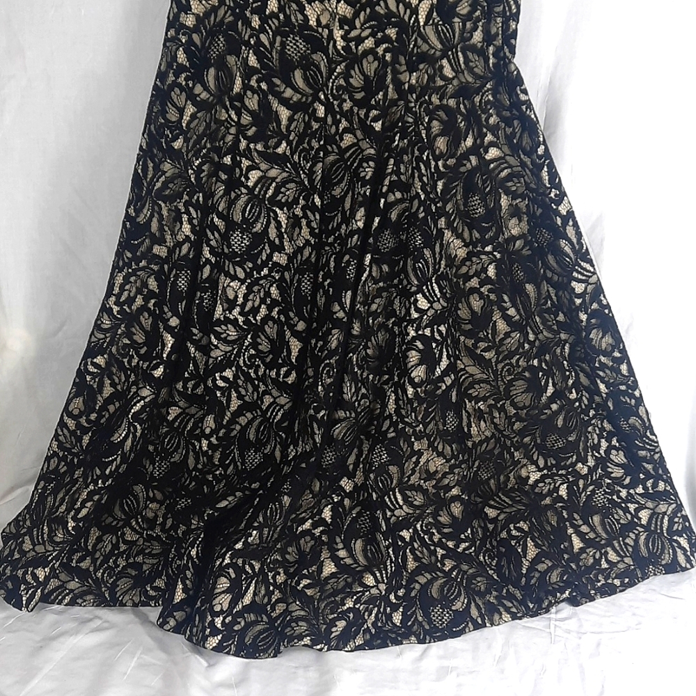 Mirror of Venus Laced Dress Size 6 Sleeveless Black Cream Elegant Long - Picture 10 of 11
